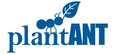 Plant Ant Logo